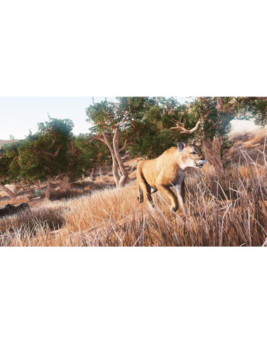 Simulador de Caza - Maximum Games - Nintendo Switch - 37 especies