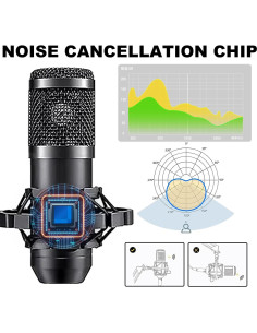 Paquete de Podcast SIBORIE X50 con 2 Micrófonos BM800 2