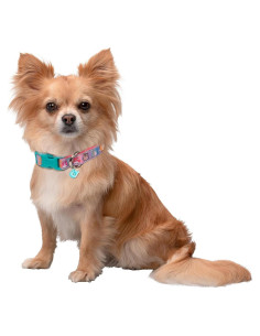 Collar para Perro Squishmallows Original Pequeño con Charm