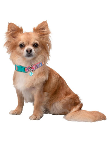 Collar para Perro Squishmallows Original Pequeño con Charm