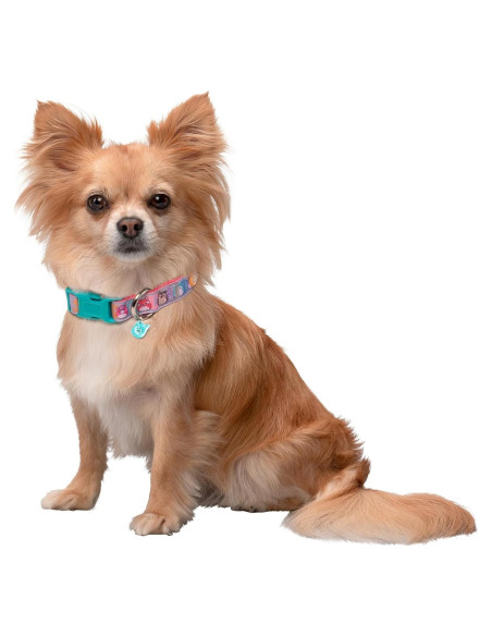 Collar para Perro Squishmallows Original Pequeño con Charm