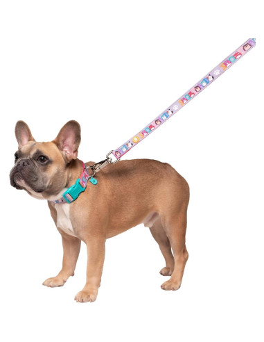 Collar para Perro Squishmallows Original Pequeño con Charm