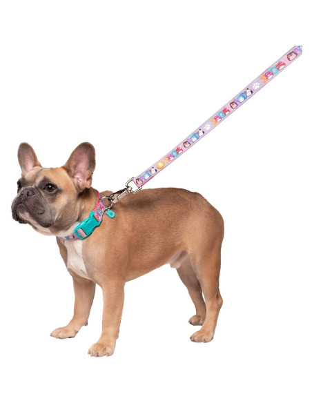 Collar para Perro Squishmallows Original Pequeño con Charm