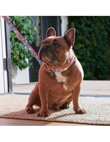 Collar para Perro Squishmallows Original Pequeño con Charm