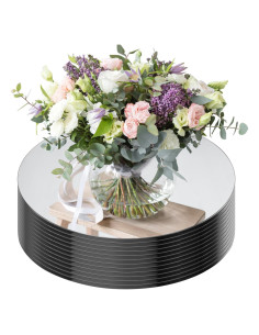 Bandejas Espejadas Redondas Seelenruhe 10" 12 PCS Decoración