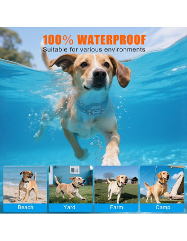 Sistema de Cerca Inalámbrica GPS para Perros Chwwen F830, 21-914m