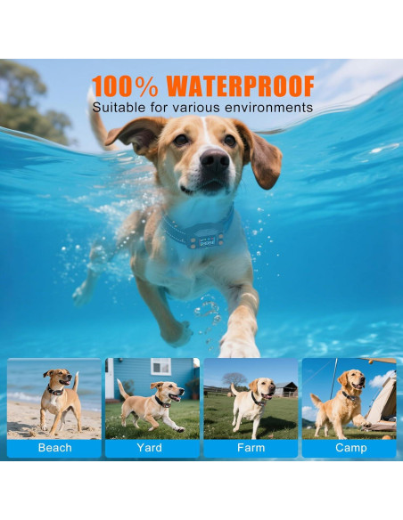 Sistema de Cerca Inalámbrica GPS para Perros Chwwen F830, 21-914m