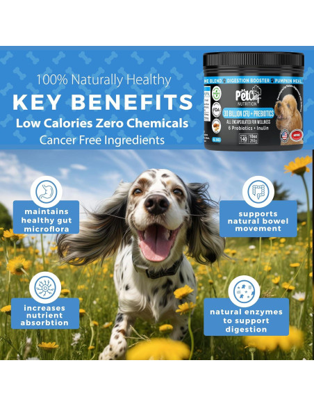 Probioticos Caninos Pet Chef - Salud Digestiva y Bienestar
