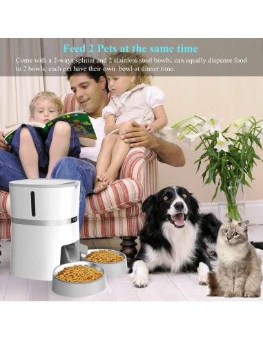 Comedero Automático WellToBe para Gatos y Perros Pequeños