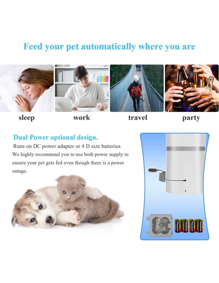 Comedero Automático WellToBe para Gatos y Perros Pequeños