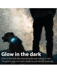 Soporte de Collar de Perro Funda Protectora Silicona Tile Pro 2024 2