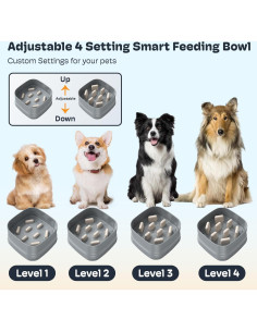 Cuenco de Comida Lenta SHARLOVY Ajustable para Perros Grandes 2