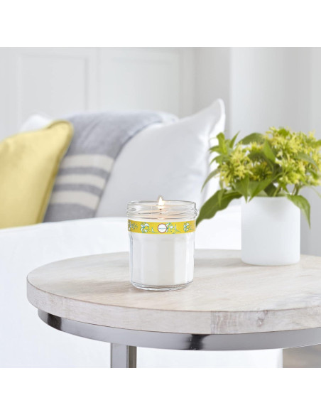 Vela Aromática Mrs. Meyer's Clean Day Madreselva 204g