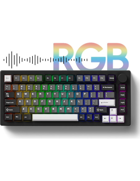 Teclado Mecánico MonsGeek M1 V5 75% Aluminio RGB 8000mAh