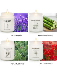 Set de Velas Aromáticas de Lavanda - Cera de Soya 6 Piezas 2