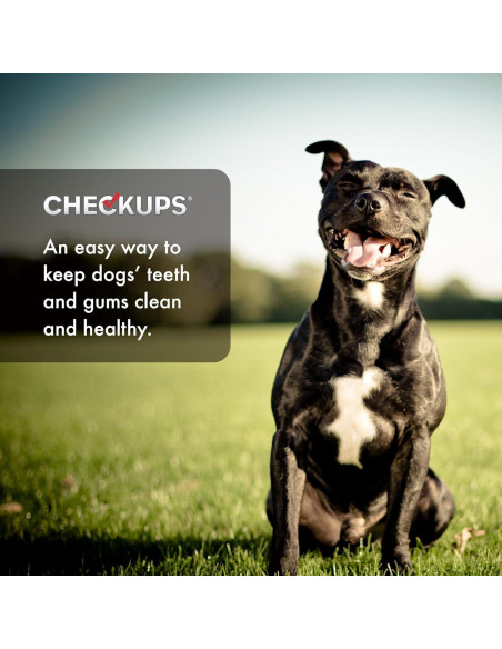 Galletas Dentales para Perros Checkups 24 Unidades 1360 g Galletas Dentales para Perros Checkups 24 Unidades 1360 g