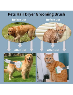 Secador Profesional para Mascotas Pacaba 3 en 1 Ajustable 2