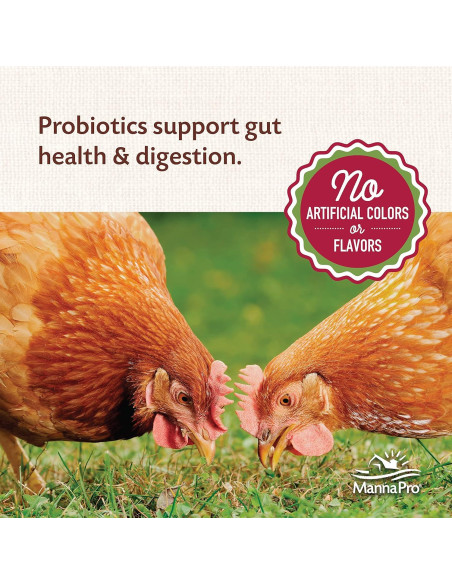 Alimento para Aves Manna Pro All Flock 3.63 kg - 16% Proteína