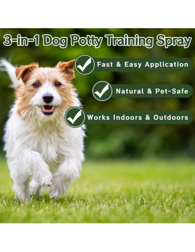 Spray de Entrenamiento para Perros Accyoiu 100ml 2-en-1 Seguro