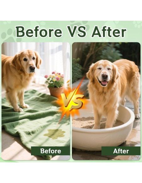 Spray de Entrenamiento para Perros Accyoiu 100ml 2-en-1 Seguro