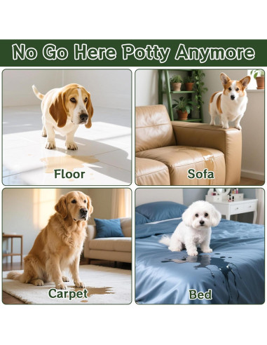 Spray de Entrenamiento para Perros Accyoiu 100ml 2-en-1 Seguro