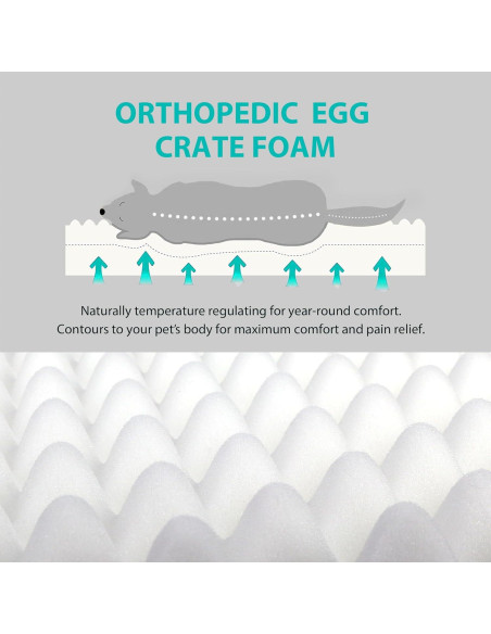 Cama para Perros Grande Chicute Impermeable Ortopédica 88.9x55.9cm