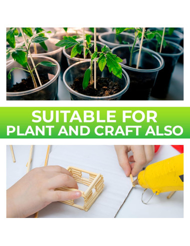 100 Palitos de Bambú 40.64 cm para Brochetas BBQ KT Deals