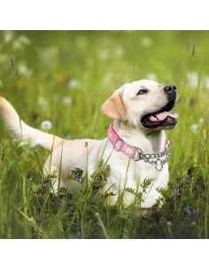 Collar Martingale Reflectante MAOWUWUJOZ M Rosa 30.5-43.2cm 2