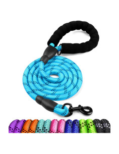 Correa para Perros COOYOO 1,52 m Reflectante y Cómoda