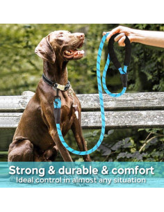 Correa para Perros COOYOO 1,52 m Reflectante y Cómoda 2