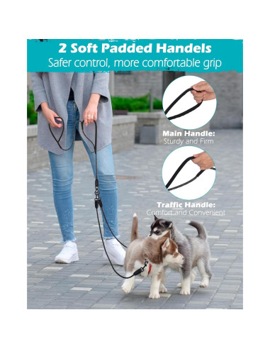 Correa Doble para Perros PetBonus, Reflectante y Acolchada
