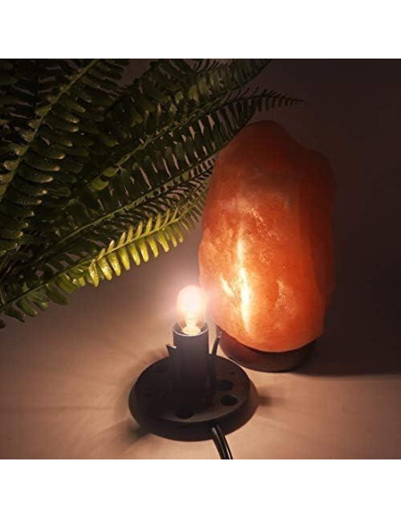 Cable de Lámpara de Sal del Himalaya Smart Eagle 1.83 m con Regulador