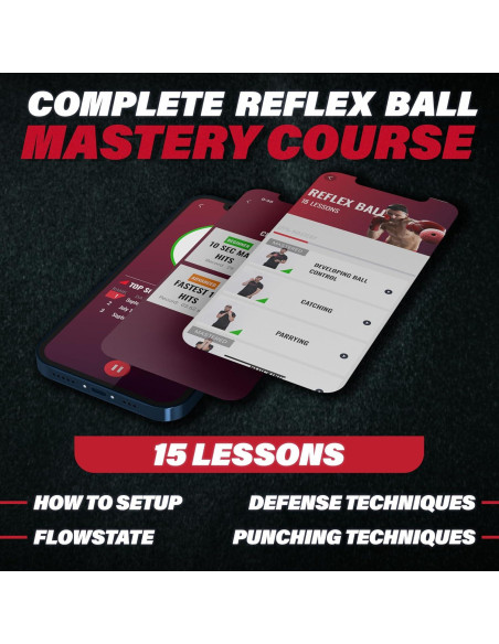 Juego de Pelotas de Boxeo Champs MMA - 4 Pelotas y App
