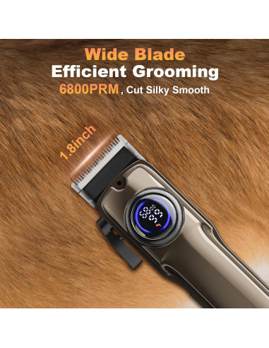 Kit de Aseo 3 en 1 GIMPYN para Perros y Gatos - Cortadora y Amoladora