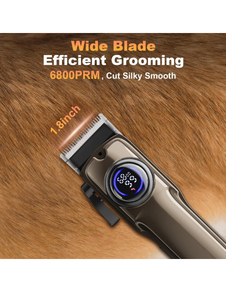 Kit de Aseo 3 en 1 GIMPYN para Perros y Gatos - Cortadora y Amoladora