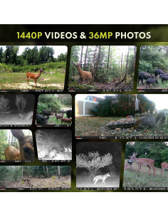 Cámara de Sendero WOSPORTS H37 36MP 1440P Visión Nocturna 2