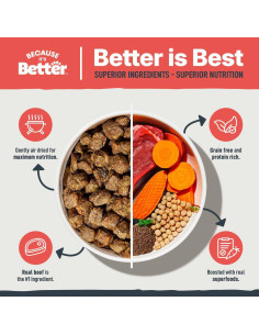 Comida para Perros Secada al Aire Porque es Mejor 0.45kg Carne de Res 2