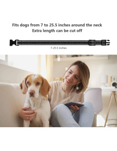 Correa Reflectante Ajustable Aikko para Collar de Entrenamiento 2