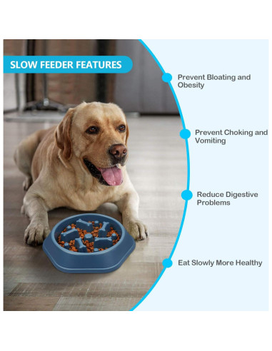 Cuenco Antiahogo para Perros UPSKY 22.86cm Azul Alimentación Lenta