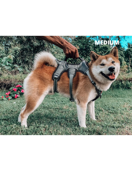 Arnés para Perros Tuff Pupper Mediano Ajustable y Acolchado