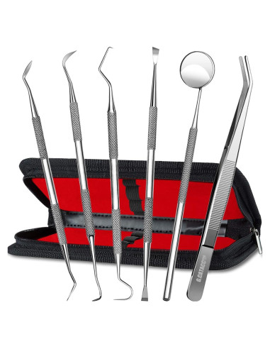 Kit de Herramientas Dentales G.CATACC 6 Piezas con Estuche
