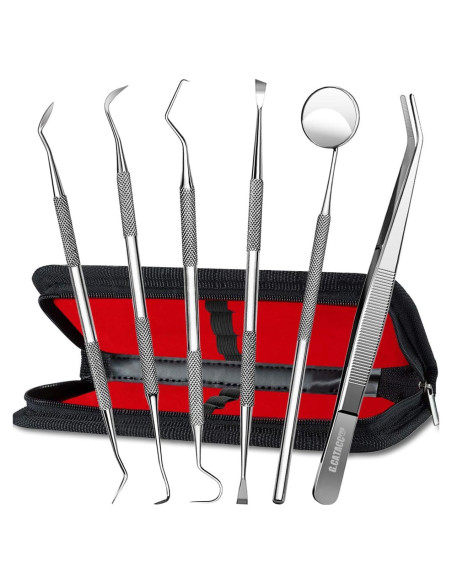 Kit de Herramientas Dentales G.CATACC 6 Piezas con Estuche