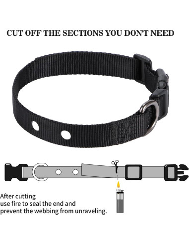 Correa de Repuesto para Collar de Perro XYART 1" Ajustable 22.86-71.12 cm Negro