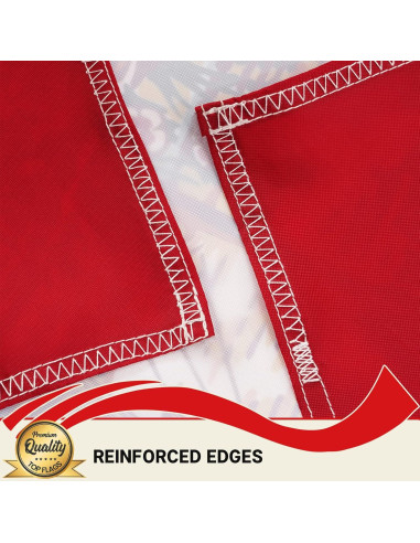 Bandera de Florida Topflags 1.22x1.83 m Bordada con Ojetes