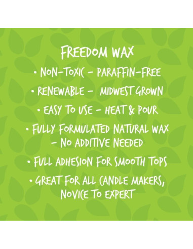 Kit de Velas de Soja American Soy Organics 4.54 kg Microondas