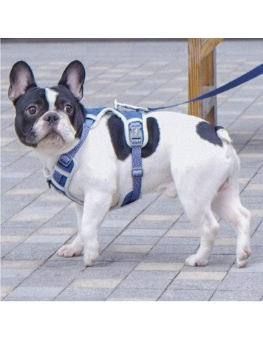 Arnés para Perro Tuff Hound Ajustable Reflectante Azul S