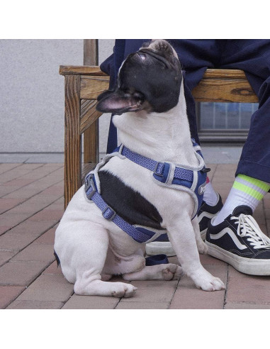 Arnés para Perro Tuff Hound Ajustable Reflectante Azul S