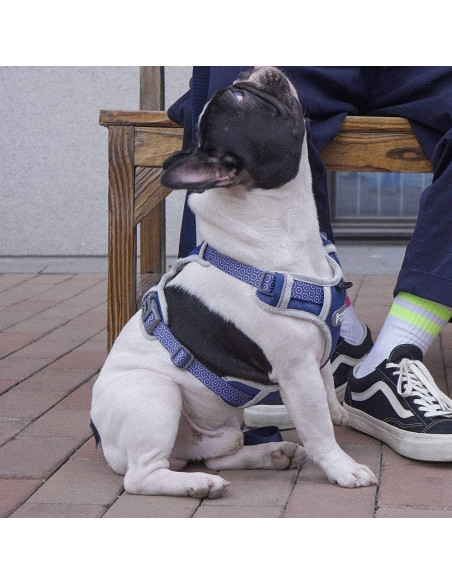 Arnés para Perro Tuff Hound Ajustable Reflectante Azul S Arnés para Perro Tuff Hound Ajustable Reflectante Azul S