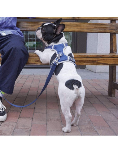 Arnés para Perro Tuff Hound Ajustable Reflectante Azul S