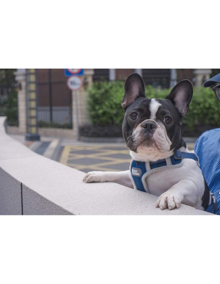 Arnés para Perro Tuff Hound Ajustable Reflectante Azul S Arnés para Perro Tuff Hound Ajustable Reflectante Azul S